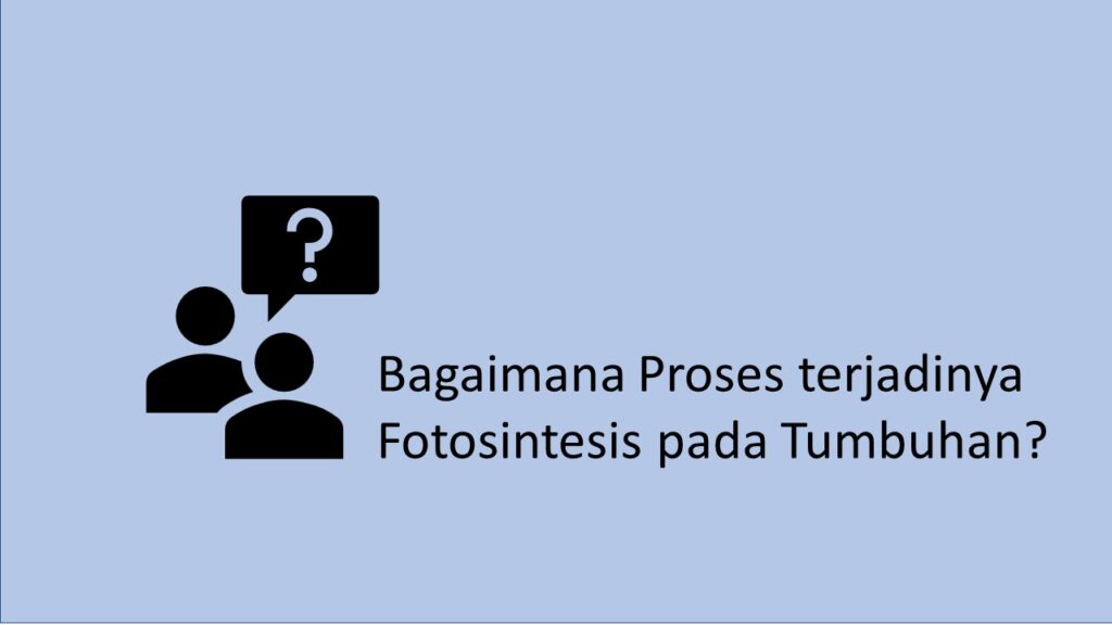 Bagaimana Proses Terjadinya Fotosintesis Pada Tumbuhan