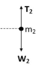 Diagram bebas gaya pada benda m2 untuk contoh soal nomor 3