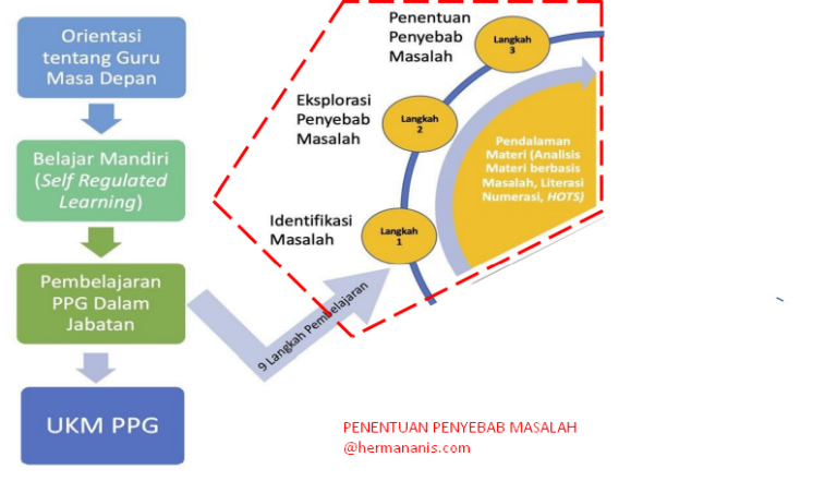 Penentuan Penyebab Masalah PPG - Pembelajaran Herman Anis